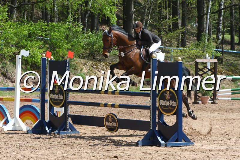 004M2039_Garantie T_Punkte L m. Joker.JPG